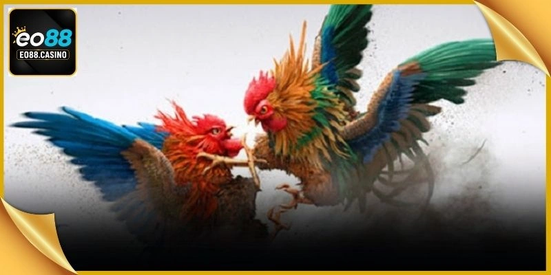 Kiểm soát tính năng cá cược trực tuyến vận hành vô cùng mượt mà